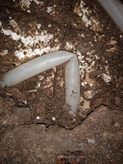 沙洋堵点精准查找